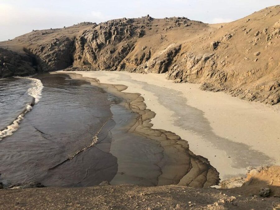 Programa 05×20 – Desastre ecológico en Perú, desinformación y la responsabilidad de Repsol: entrevistamos al director científico de Oceana Perú, Juan Carlos&nbsp;Riveros